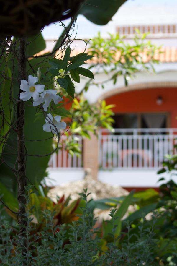 Bungalows Las Tortugas Lo de Marcos Ngoại thất bức ảnh